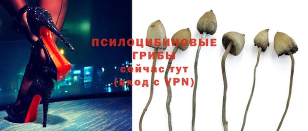 твердый Киренск