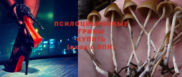твердый Киренск