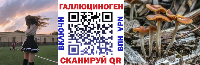 Купить где  Лобня  Псилоцибиновые грибы мухоморы 